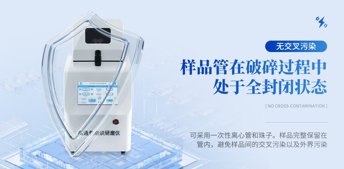 高通量组织研磨仪