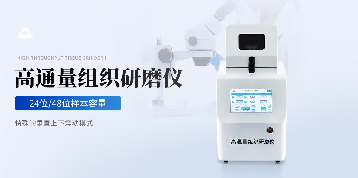 高通量组织研磨仪