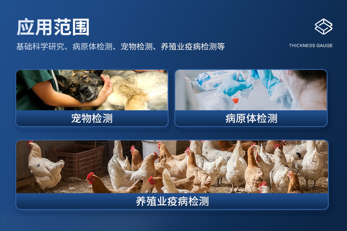 禽类疫病检测仪