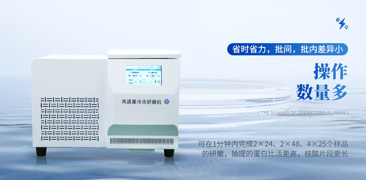 高通量冷冻型组织研磨仪