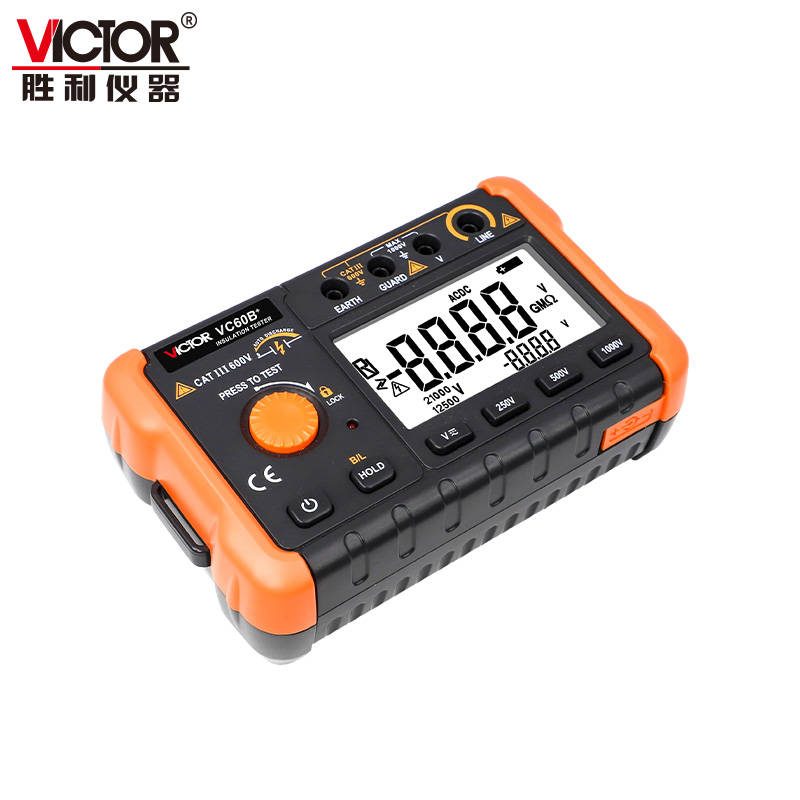 VC60B+/60D+/60E+绝缘电阻测试仪 图2