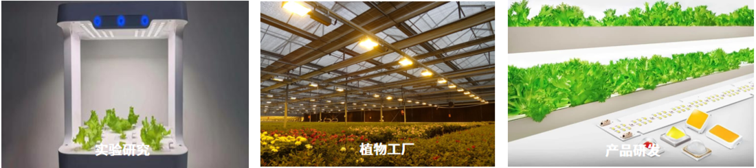 SP-20 植物光谱光合辐射度计(320-800nm)