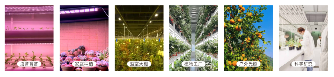 PLA-500 植物光照分析仪