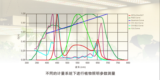 PLA-500 植物光照分析仪