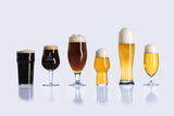 Beer Monitor 在线饮料分析仪 图5