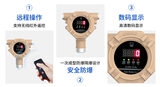中安探测GTYQ-QD6360 点型气体探测器 | 两总线数码显示 隔爆型IP66 图8