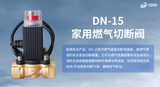 DN-15家用燃气切断阀 图2