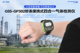 中安探测GSS-GP302秒表式气体检测仪_自然扩散式_IP65防护 图4
