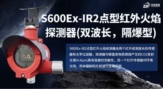 S600Ex-IR2可以检测哪些类型的火焰？