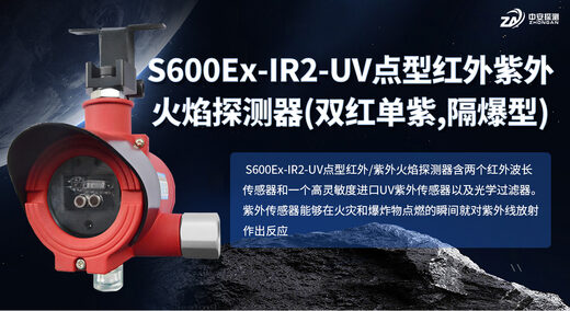 S600Ex-IR2-UV双红单紫火焰探测器的工作原理是什么？