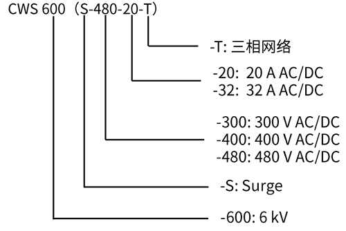 CWS600命名规则.png CWS600命名规则.png